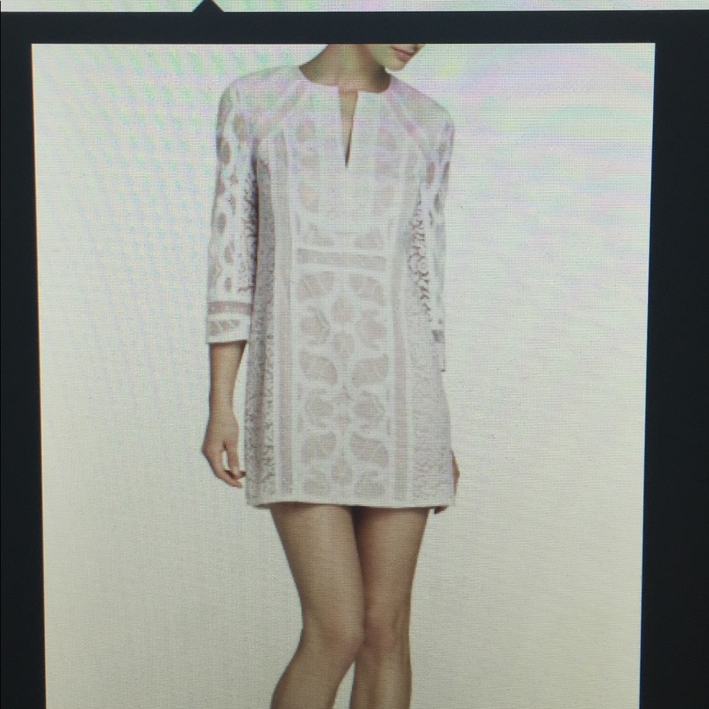 BCBG Nikki Lace Sheath Dress S